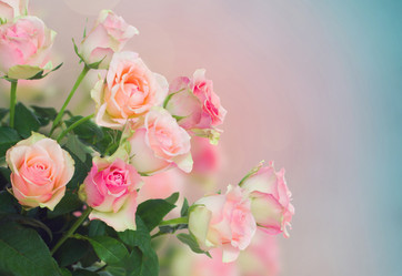 Similar image 10921080