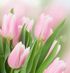 Similar image 10921081