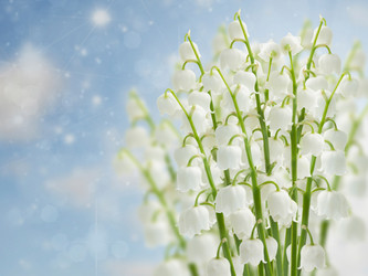 Similar image 10921082