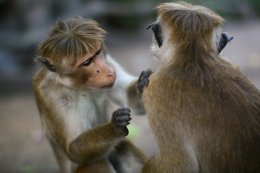 Similar image 10926407