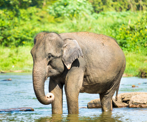 Similar image 10926844