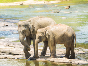 Similar image 10926845