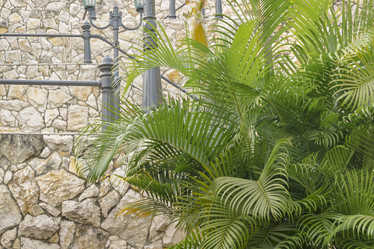 Similar image 10919381