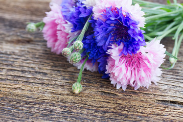 Similar image 10921029