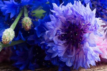 Similar image 10921084