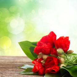 Similar image 10921085