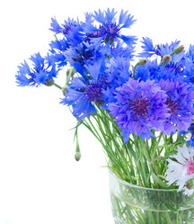 Similar image 10921086