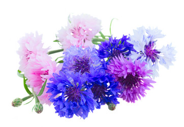 Similar image 10921088