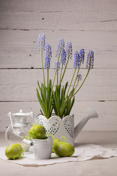 Similar image 10925079