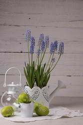 Similar image 10925099