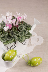 Similar image 10925105