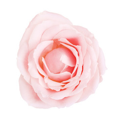 Similar image 10920401