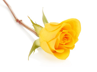 Similar image 10920406