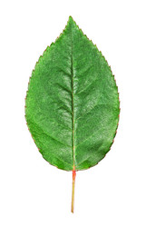 Similar image 10920410