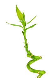 Similar image 10920423