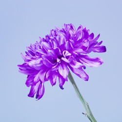 Similar image 10920447