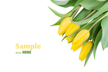 Similar image 10919425