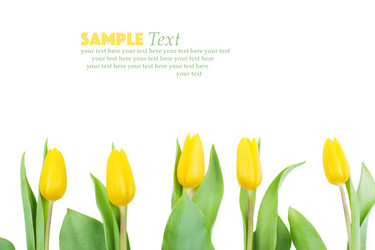 Similar image 10919427