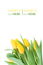 Similar image 10919428