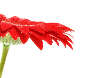 Similar image 10920455