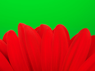 Similar image 10920456