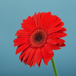 Similar image 10920459