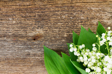 Similar image 10921007