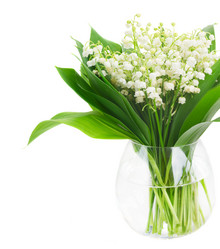 Similar image 10921008