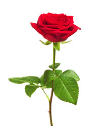 Similar image 10920461