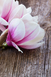 Similar image 10921052