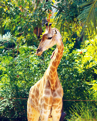 Similar image 10920470