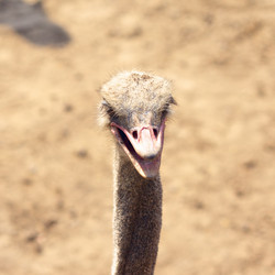 Similar image 10920471