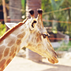 Similar image 10920472