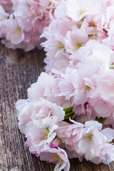 Similar image 10921069