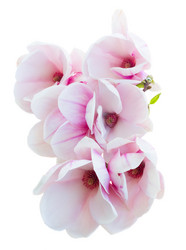 Similar image 10921070