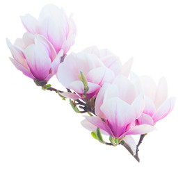 Similar image 10921071