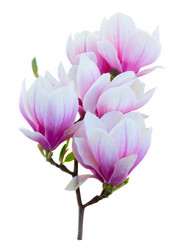 Similar image 10921072