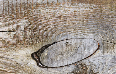 Similar image 10919316