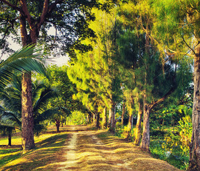 Similar image 10920516