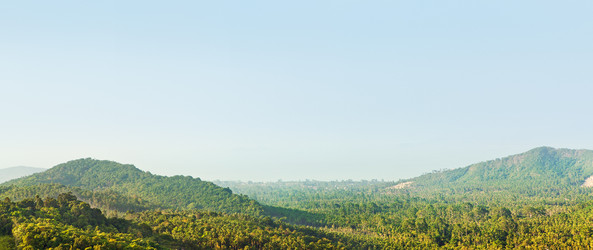 Similar image 10920518