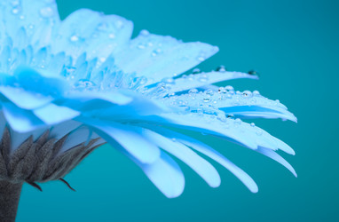 Similar image 10920413