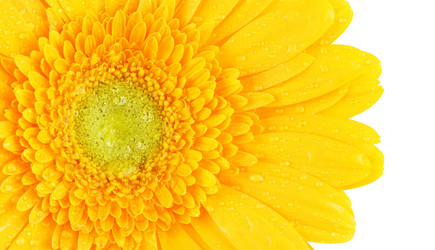 Similar image 10920414