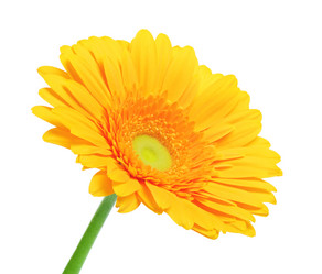 Similar image 10920426