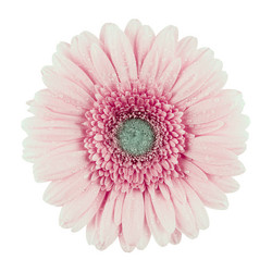 Similar image 10920430