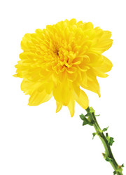 Similar image 10920431