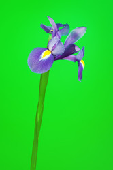 Similar image 10920439