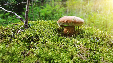 Similar image 10919530