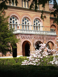 Similar image 10919633