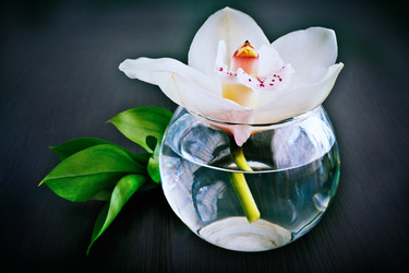 Similar image 10919320