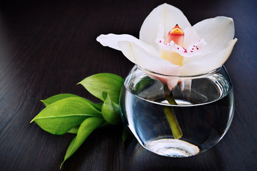 Similar image 10919321